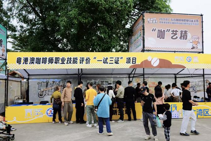 The Greater Bay Area 