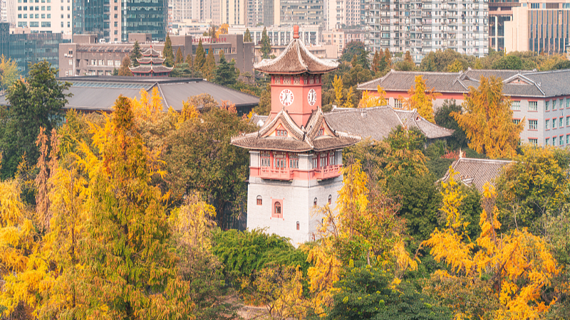 View of the Sichuan University, southwest China's Sichuan Province, November 25, 2025. /VCG