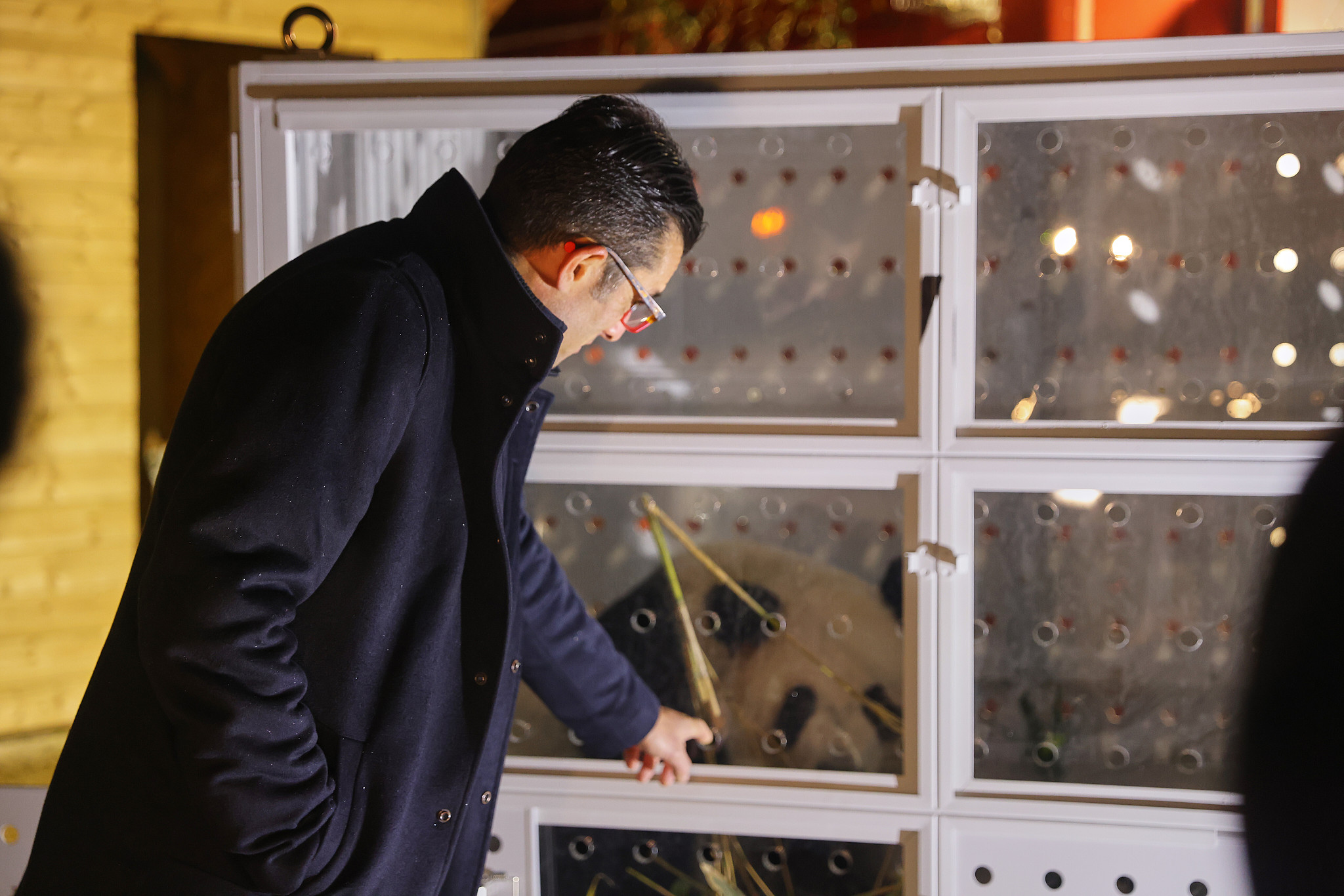 Rodolphe Delord, director of Beauval Zoo, stands beside a cage containing one of the two pandas that will be returning to China, pictured at the zoo in France on November 25, 2025. /VCG