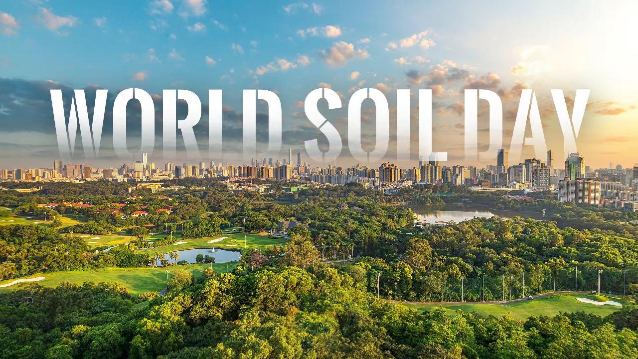 World Soil Day: Healthy soils for healthy cities