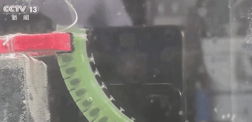 GIF showing the adaptive hydrogel biomimetic suction disc in action. /CMG