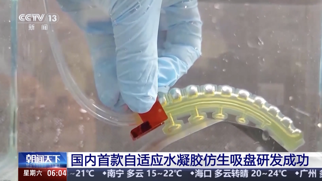 China develops first adaptive hydrogel biomimetic suction disc