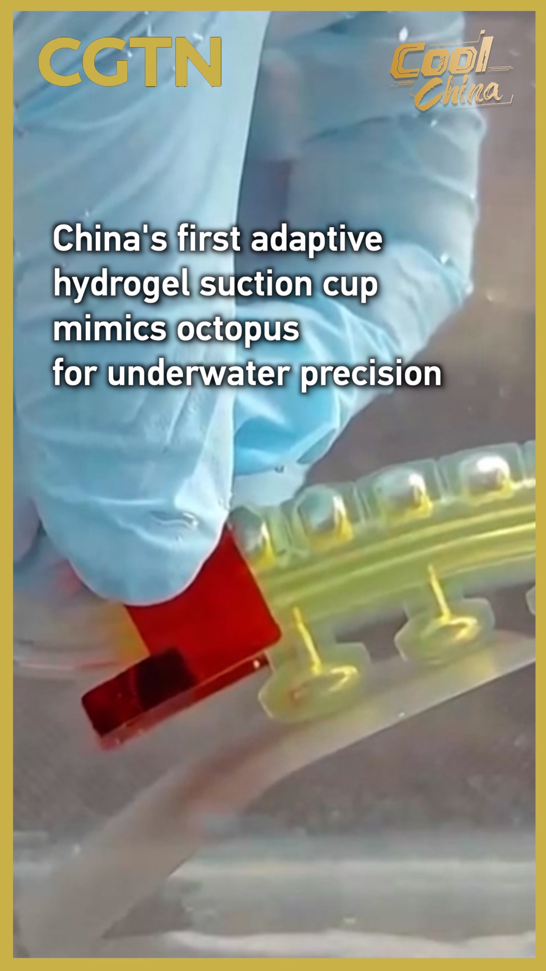 China's 1st adaptive hydrogel suction cup mimics octopus for precision