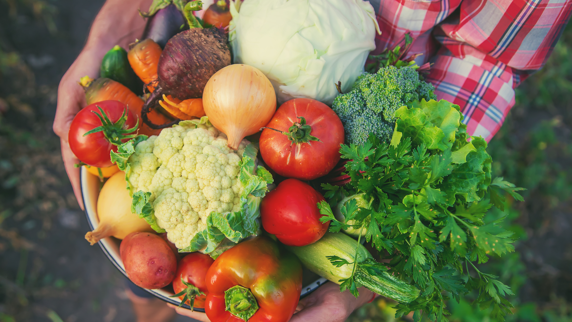 China unveils smart shipboard farm for offshore fresh produce