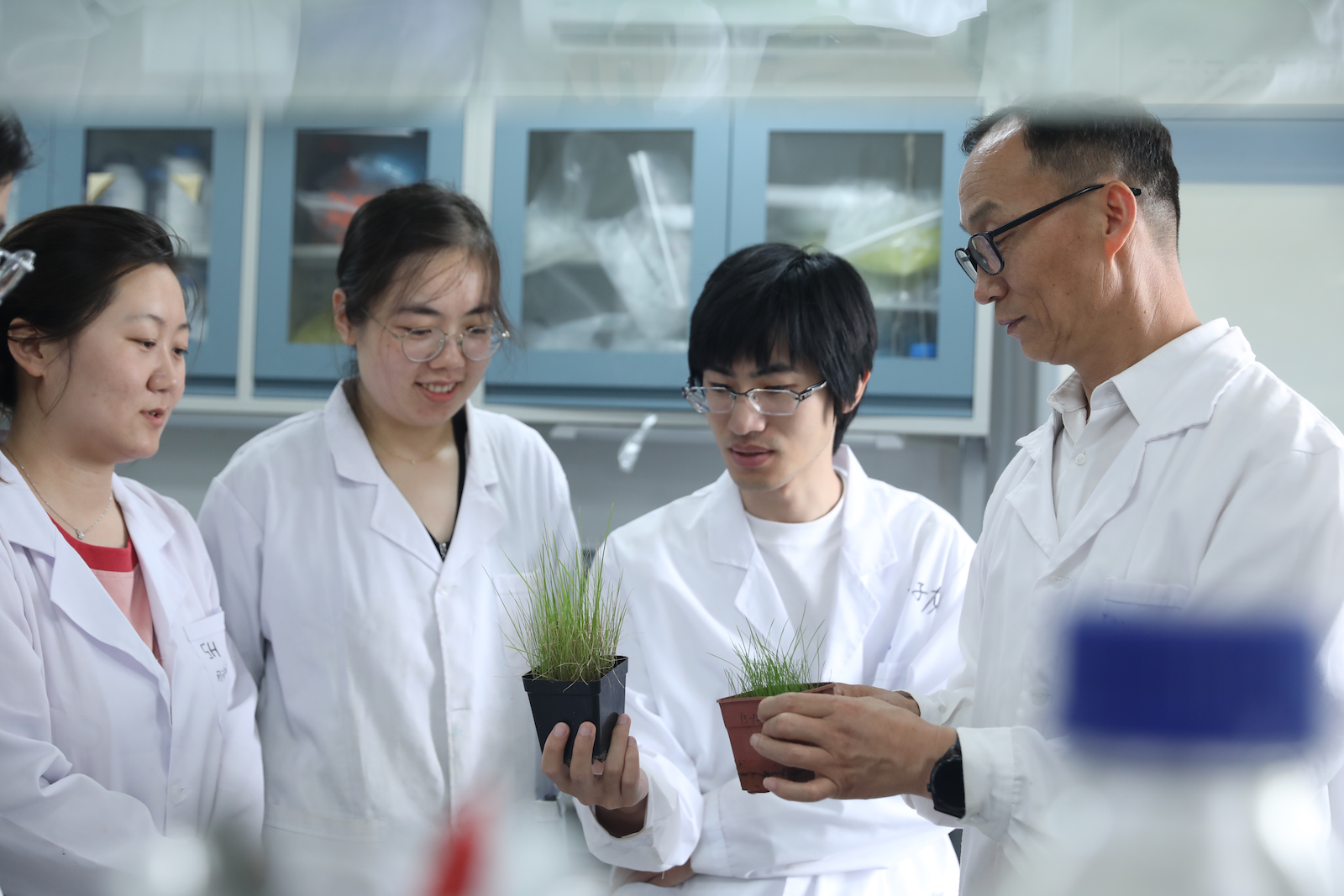 Professor Dong Shikui (R1) supervises postgraduate students during laboratory experiments. /Beijing Forestry University