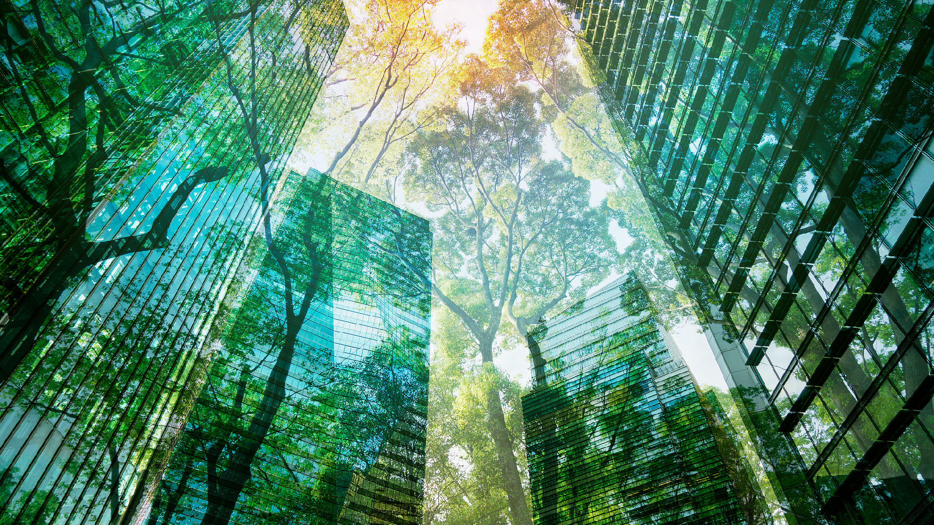 Green economy to hit $7 trillion by 2030: WEF-BCG report