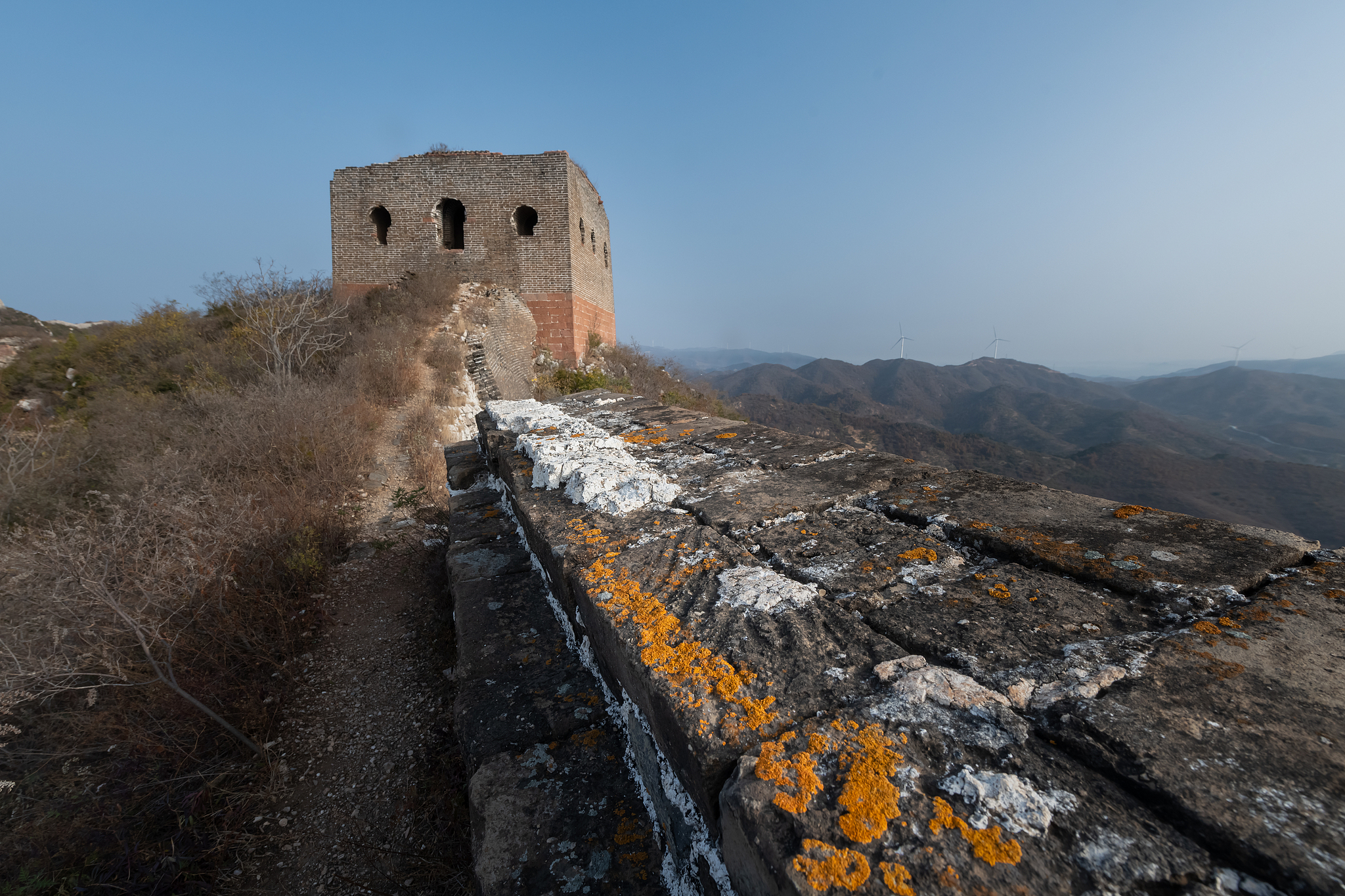 Vegetation along the Great Wall. /VCG