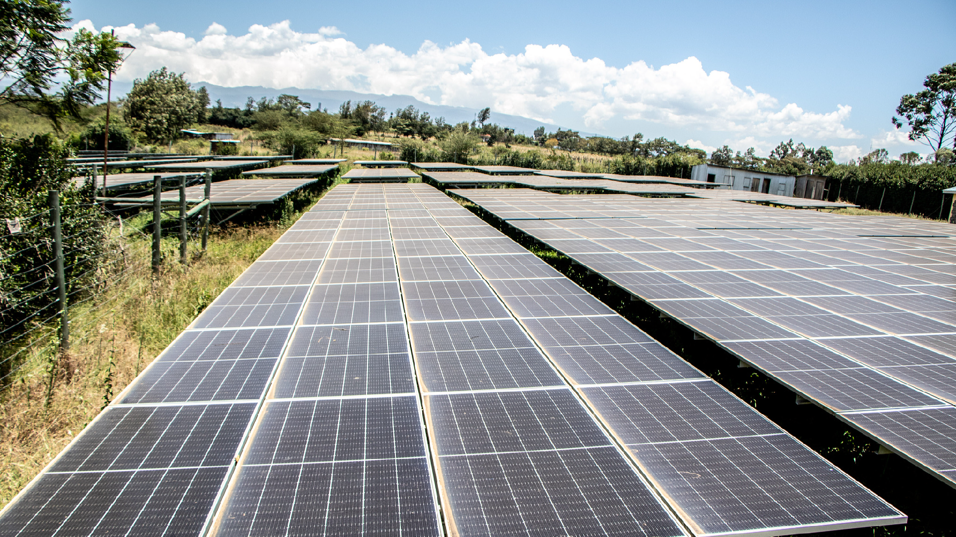 Chinese, African experts: Clean energy vital to advance climate action
