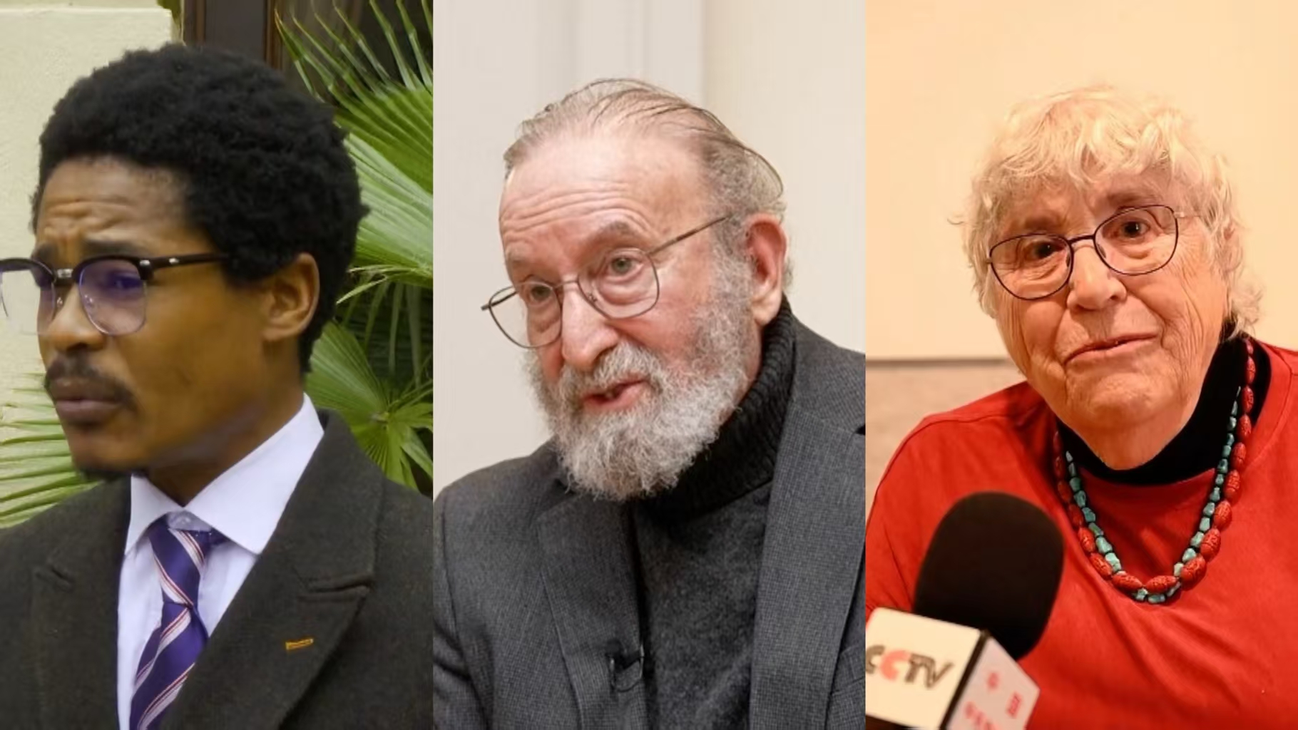 International experts urge Japan to apologize for war crimes in China