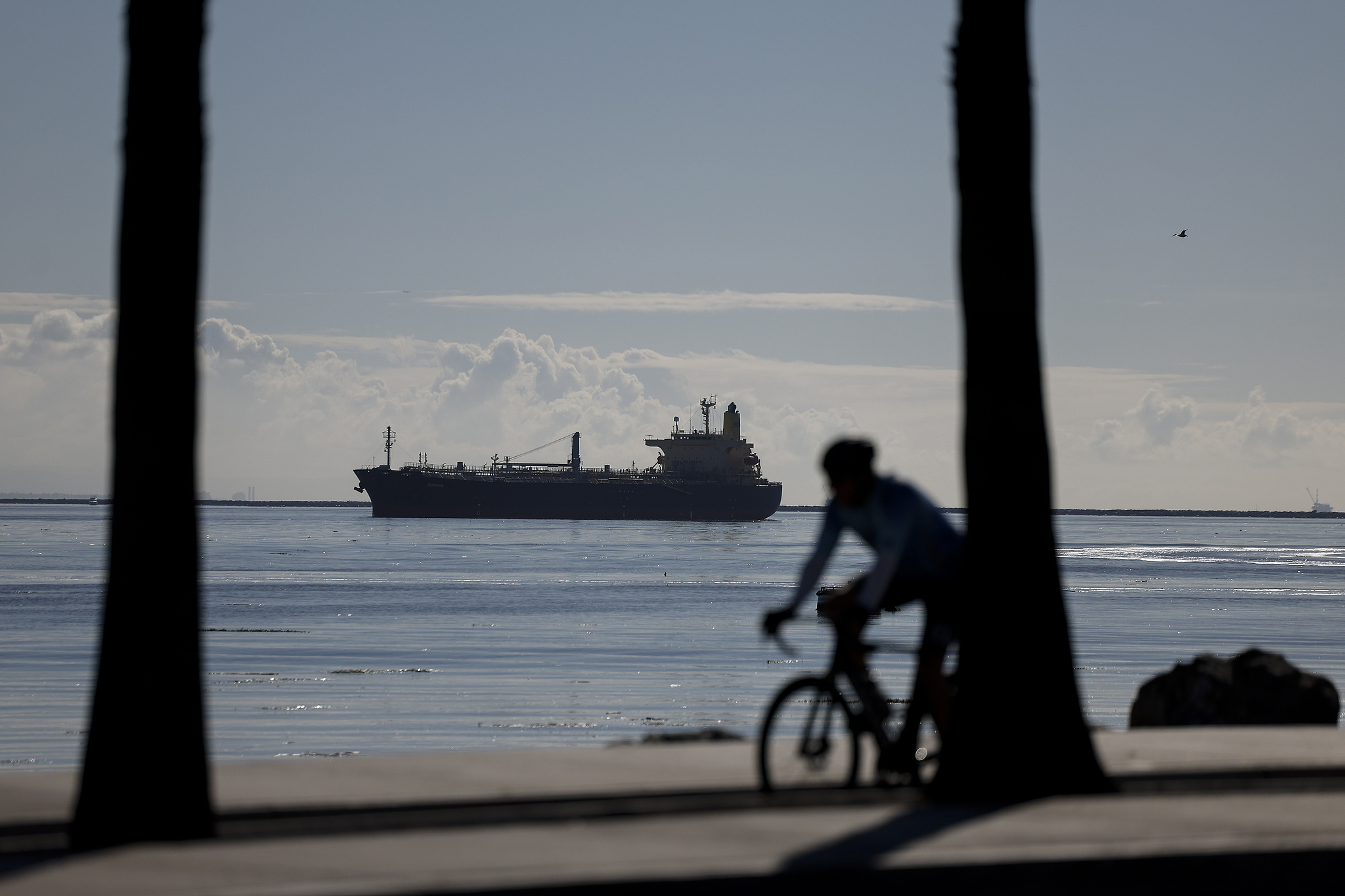 A cargo ship waits in the water nearby the Port of Los Angeles, California, US, October 15, 2025. /VCG