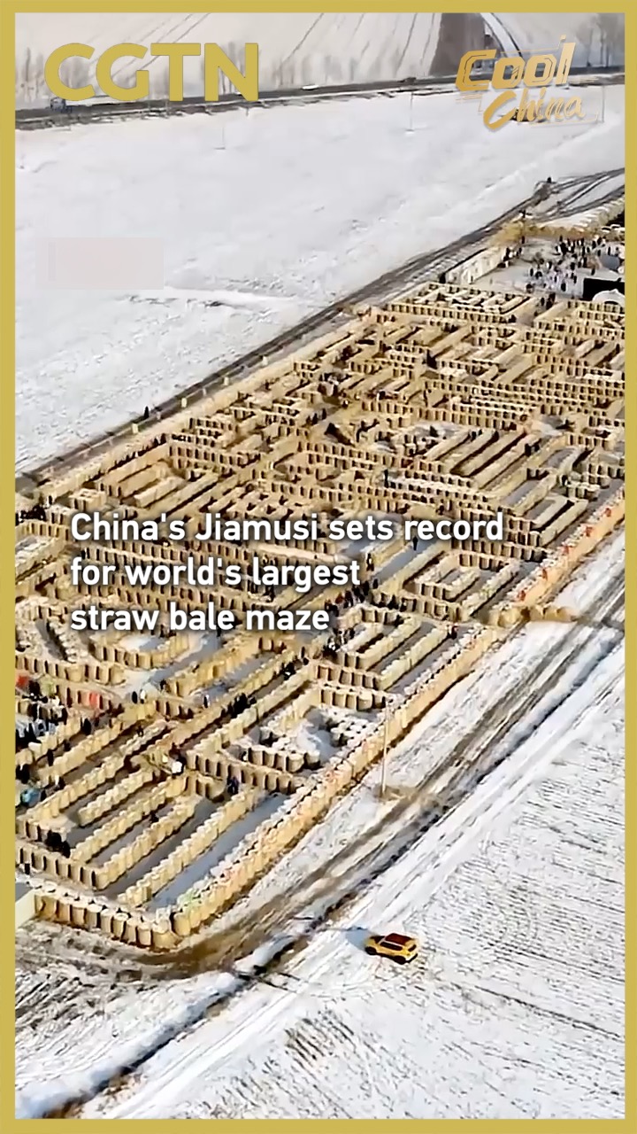 China's Jiamusi sets record for world's largest straw bale maze