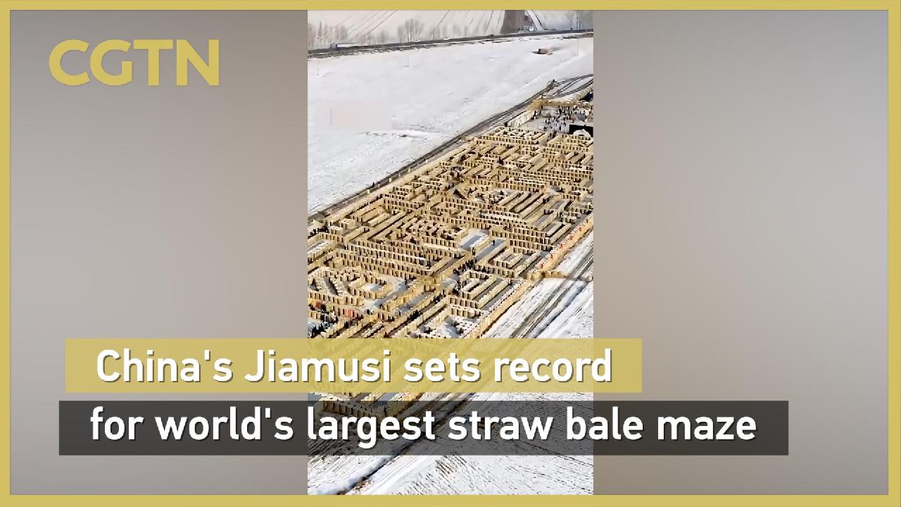 China's Jiamusi sets record for world's largest straw bale maze