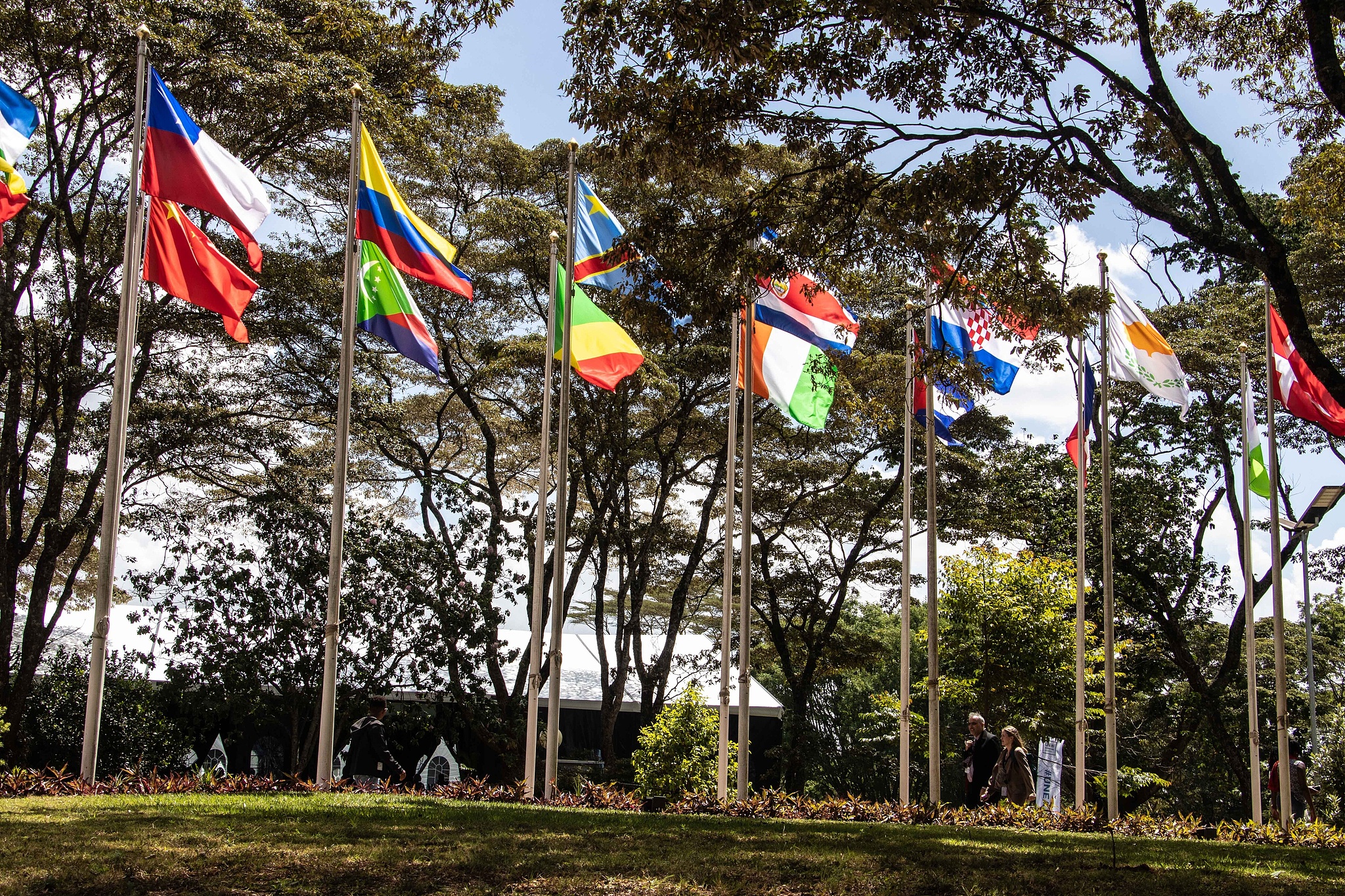 Delegates walk beneath UN member state flags during the United Nations Environment Assembly in Nairobi, Kenya, December 9, 2025. /VCG