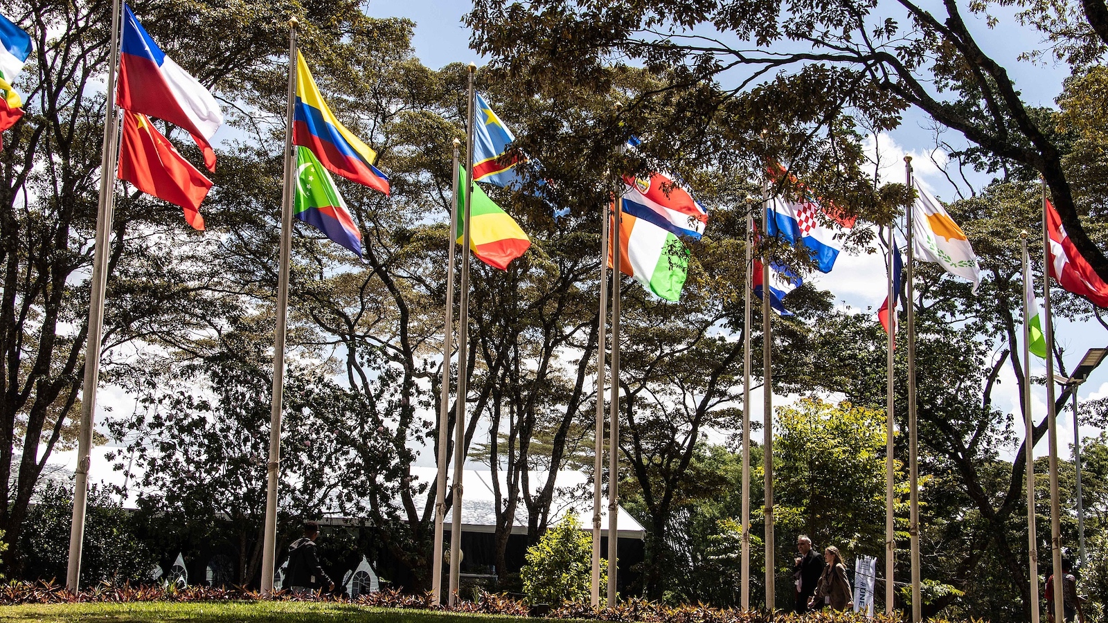 Chinese-backed biodiversity fund lauded for advancing green agenda