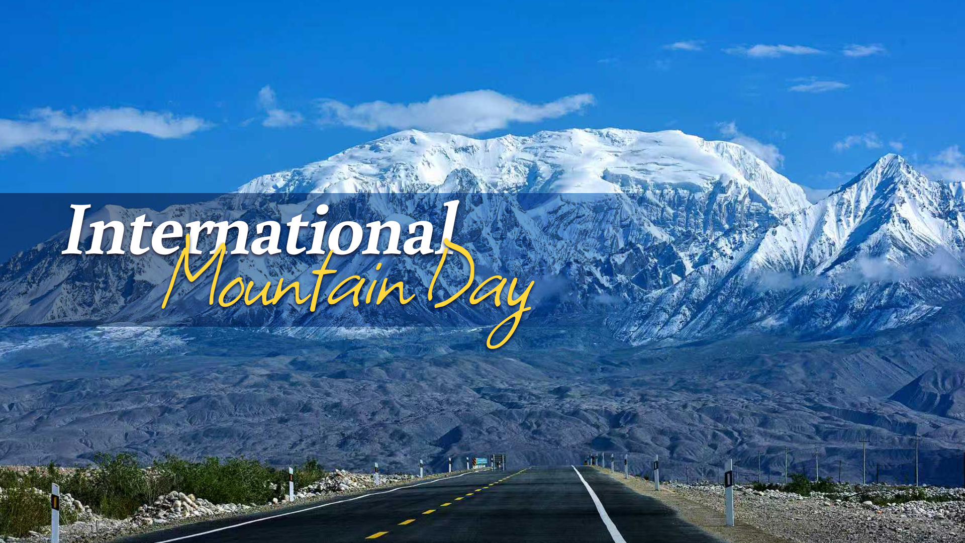 Glacier retreat: Mounting risks and global action