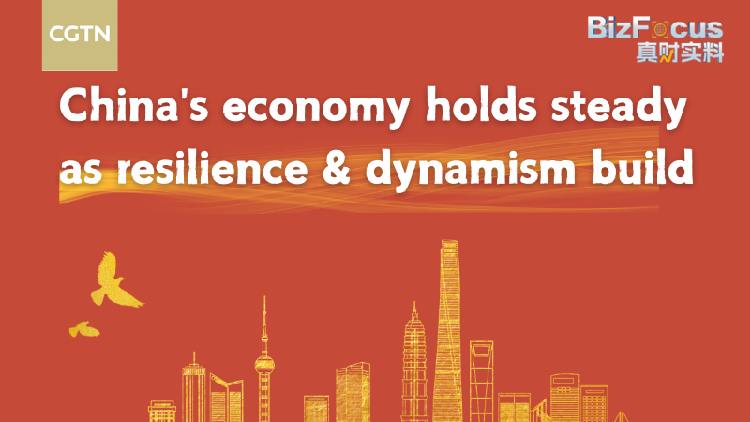 China's economy holds steady as resilience and dynamism build