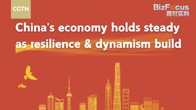 China's economy holds steady as resilience and dynamism build