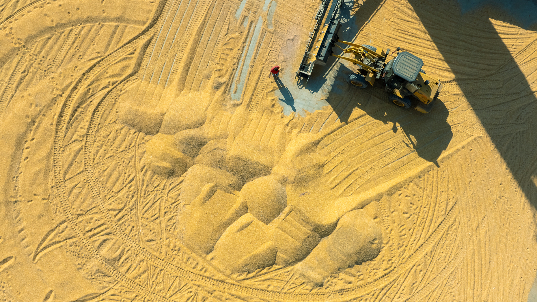 China's grain output tops 714 million tonnes in 2025