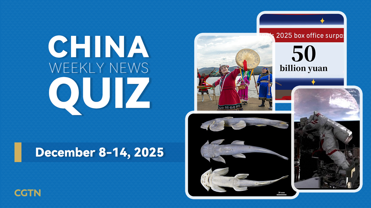China Weekly News Quiz: December 8-14, 2025
