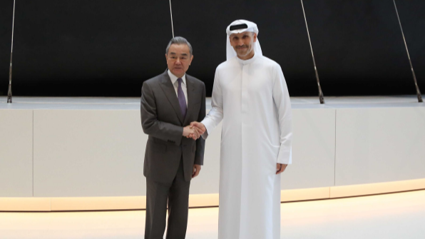 Wang Yi: China to enhance mutual trust, advance cooperation with UAE