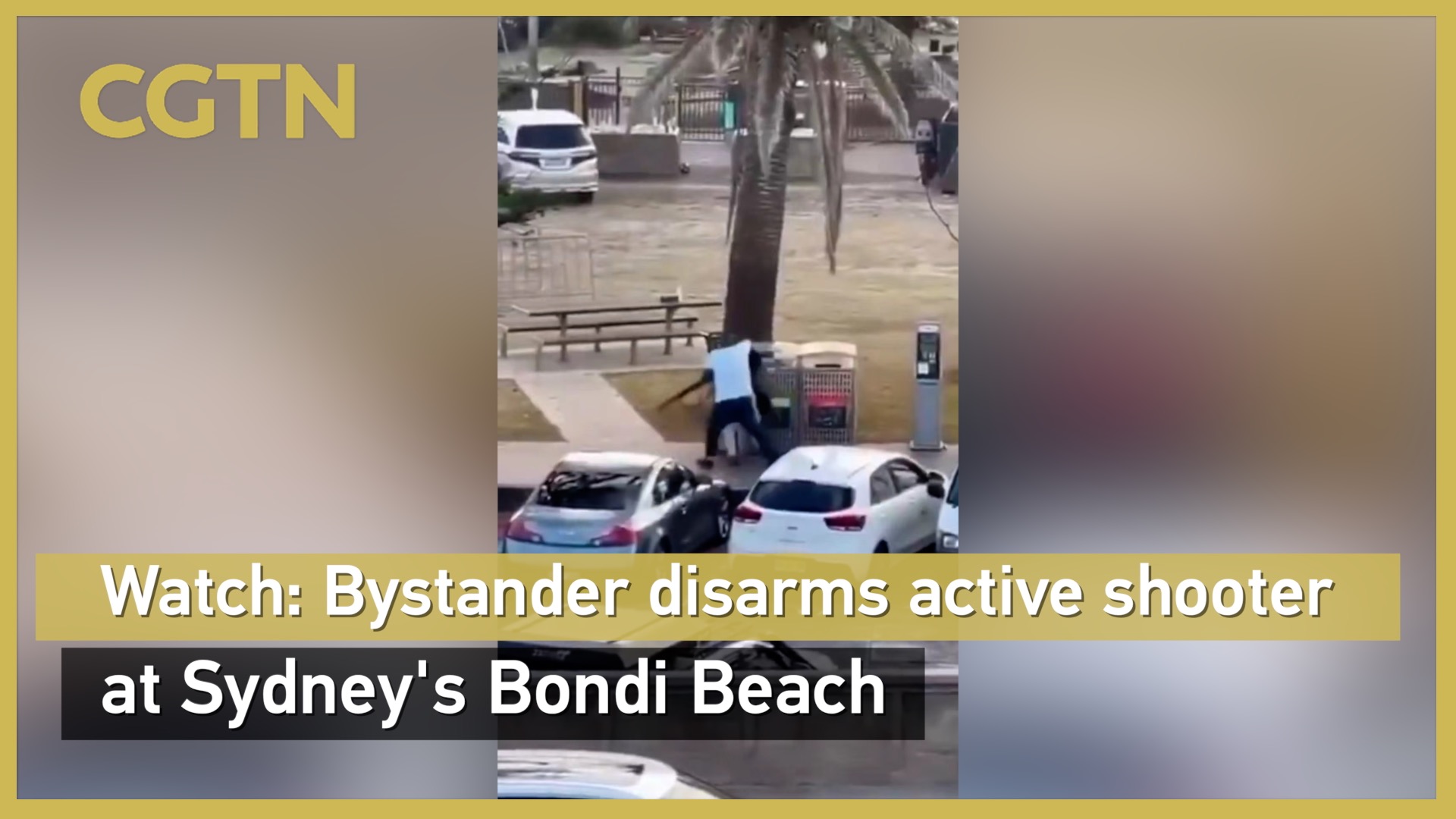 Watch: Bystander disarms active shooter at Sydney's Bondi Beach
