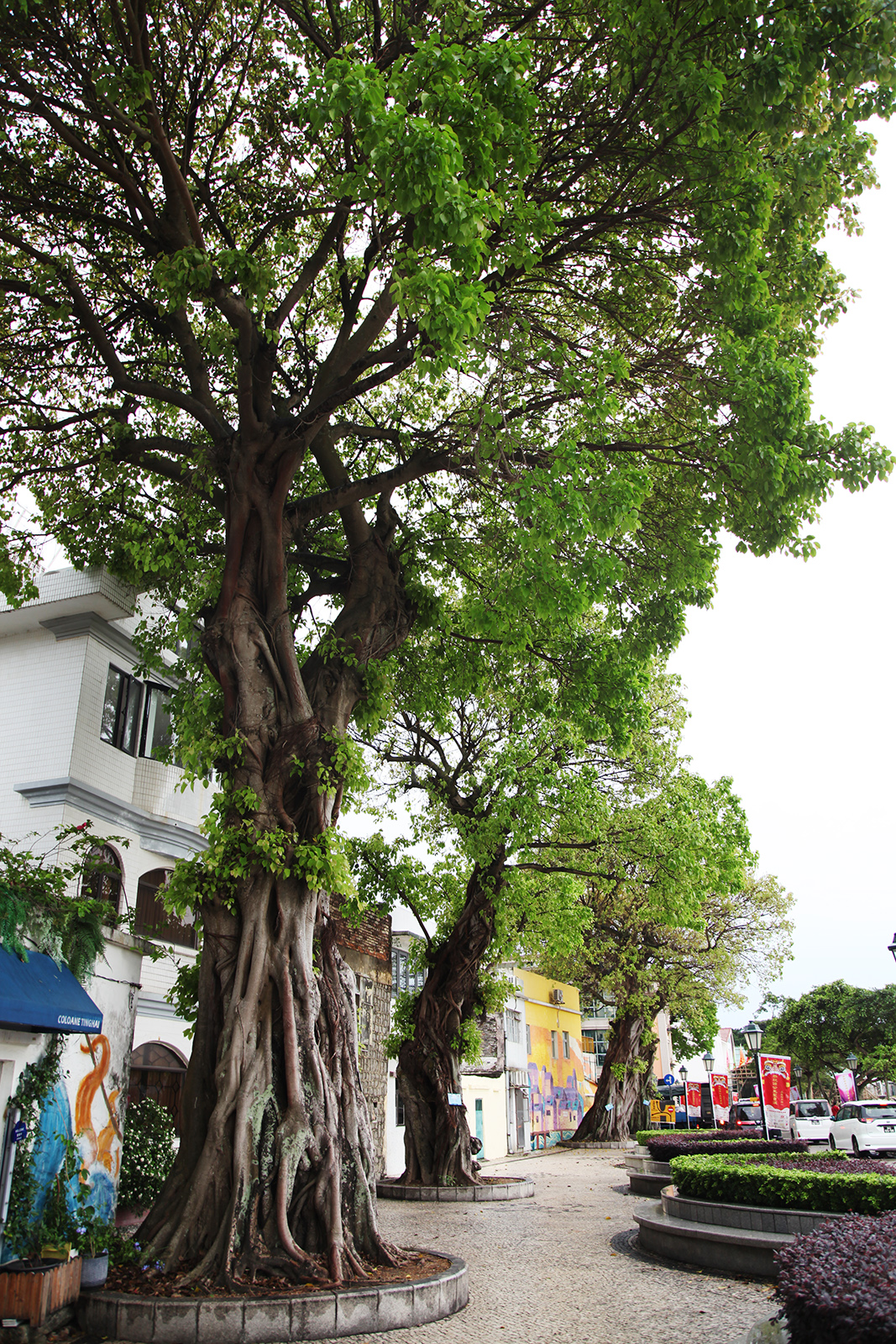 A view of Coloane Village in Macao /CGTN