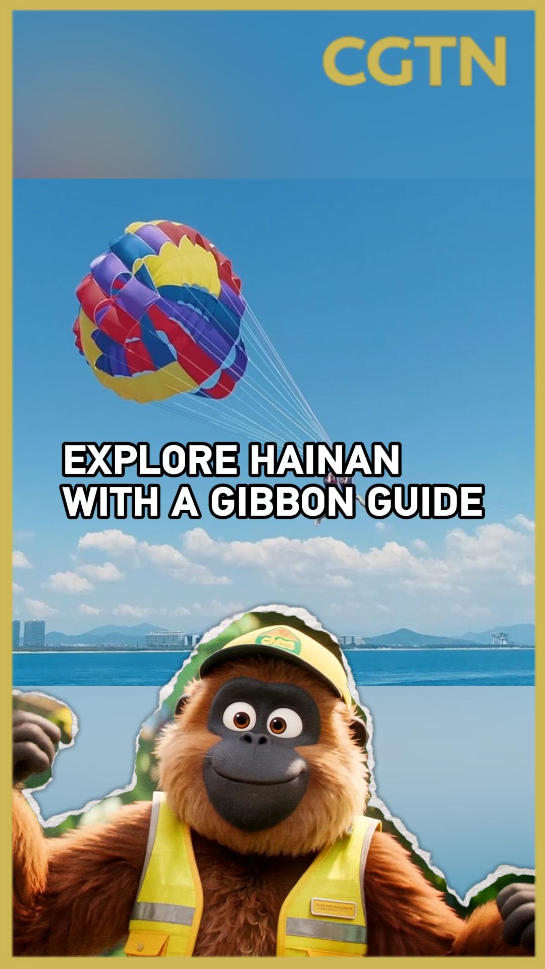 Explore Hainan with a gibbon guide