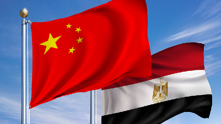 Chinese, Egyptian FMs hold phone talks on ties, Palestinian issue