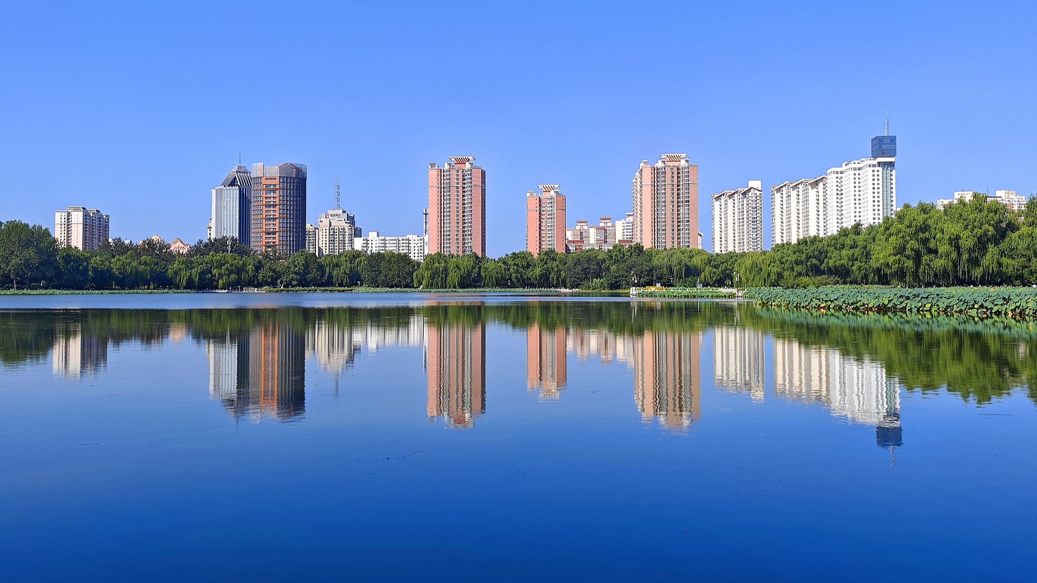 PM2.5 drops to lowest level in Beijing in 1st 11 months of 2025