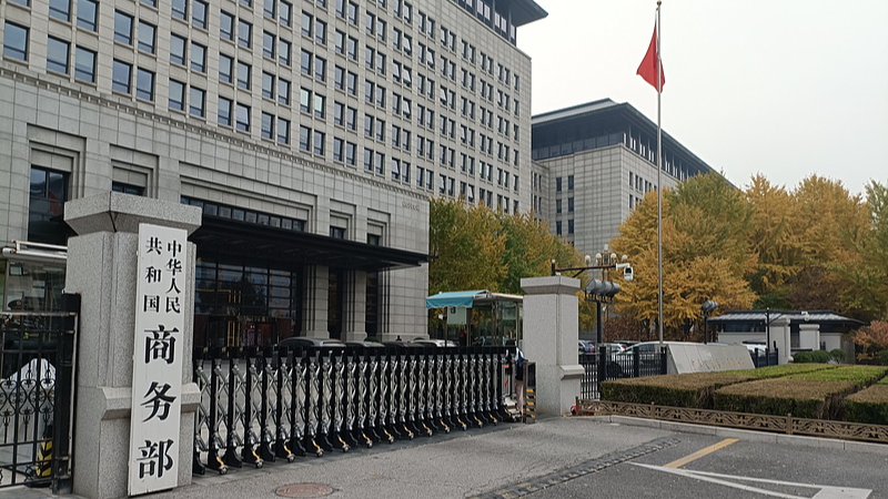 UN treaty on cargo shows China's commitment to multilateralism