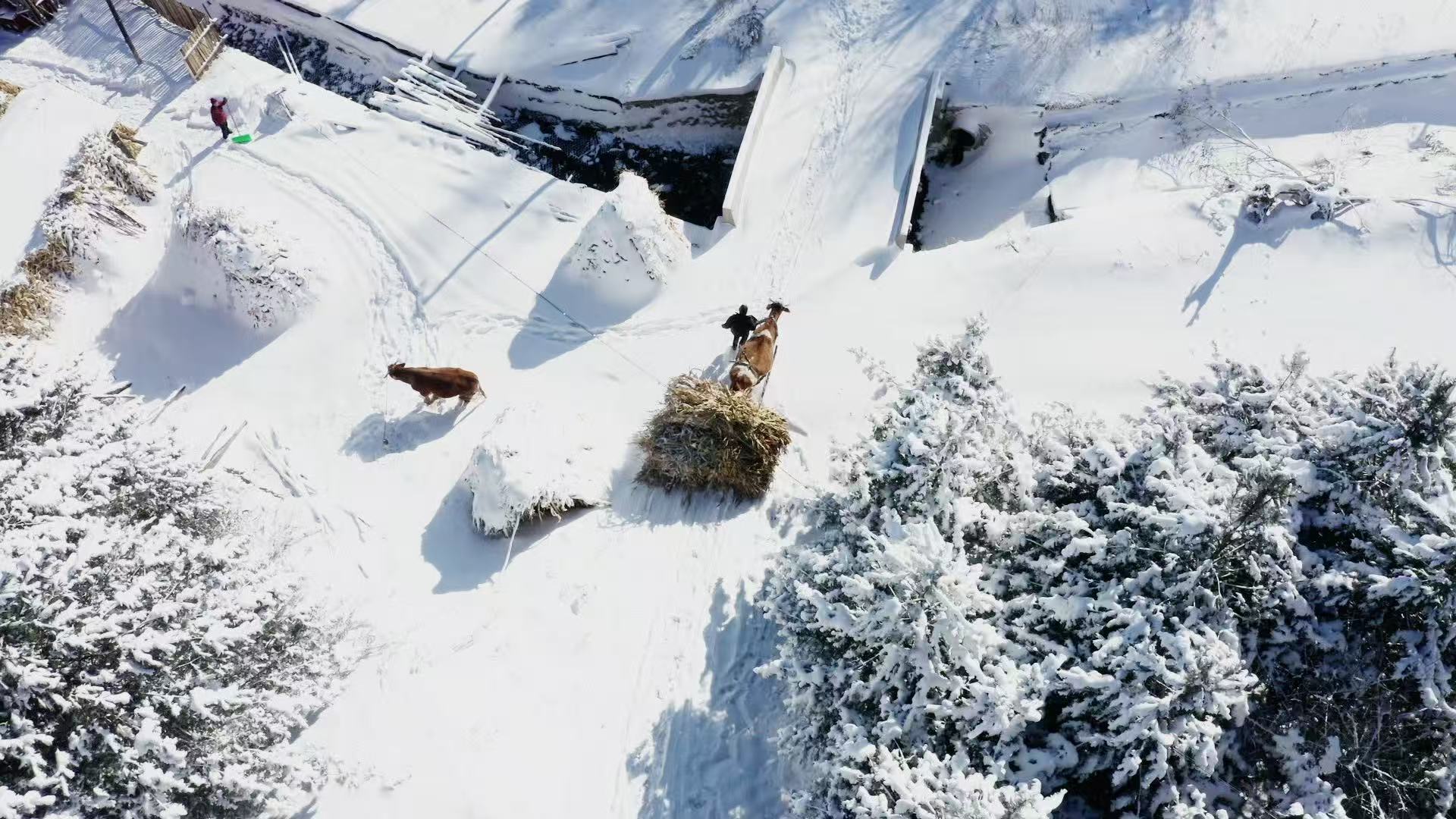 The winter scenery of Songling Snow Village in Jilin Province, China. /CGTN