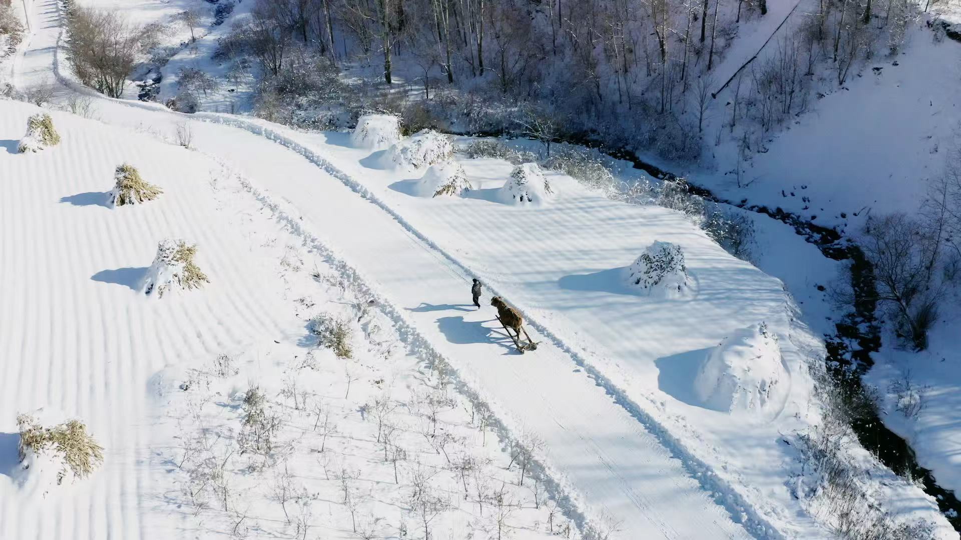 The winter scenery of Songling Snow Village in Jilin Province, China. /CGTN