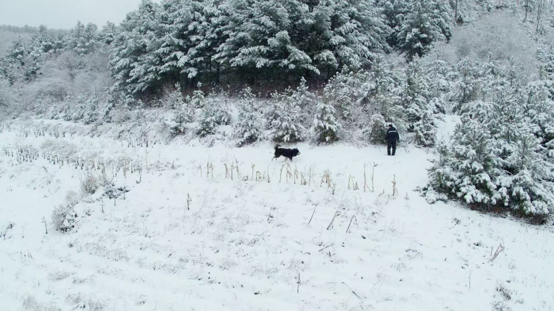 The winter scenery of Songling Snow Village in Jilin Province, China. /CGTN