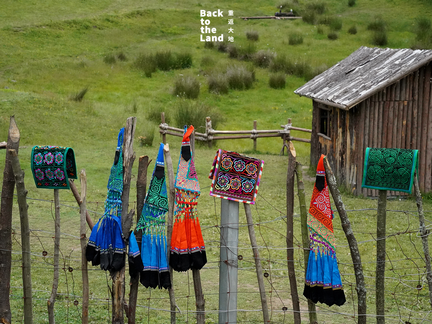 Yi embroidery features nature-inspired patterns rendered in bright, traditional colours. /CGTN