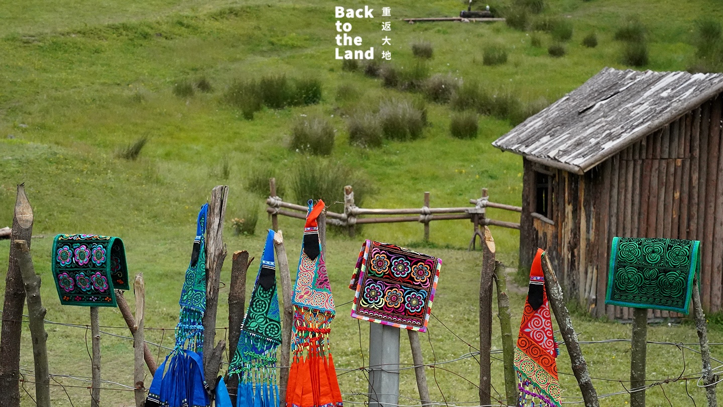 Yi embroidery: Stitching the memory of the mountains