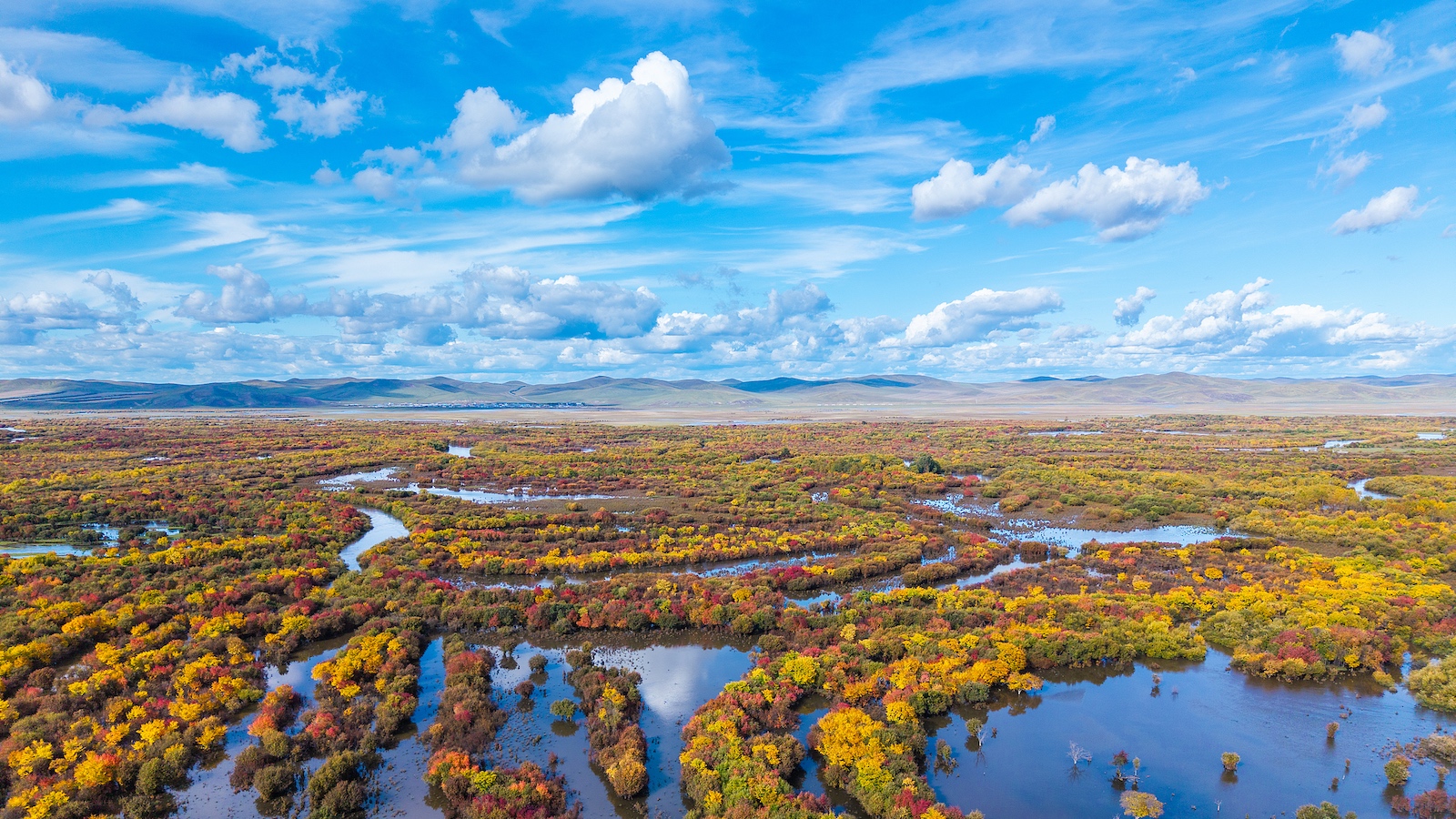 Wetland area in China stays above 800m mu during 14th Five-Year Plan