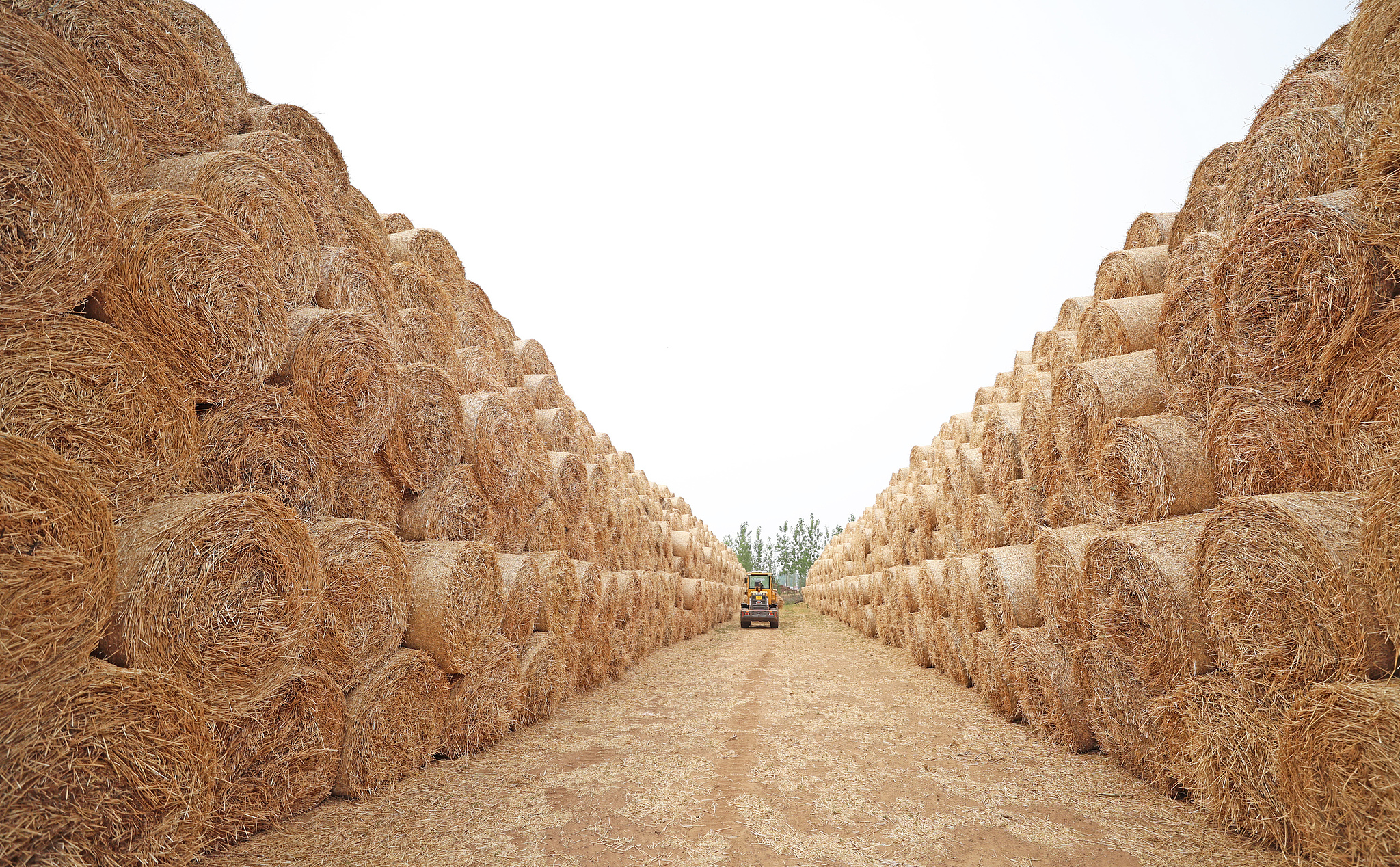 Crop straws piled up at the recycling site in Linyi, Shandong Province, east China, June 10, 2025. /VCG