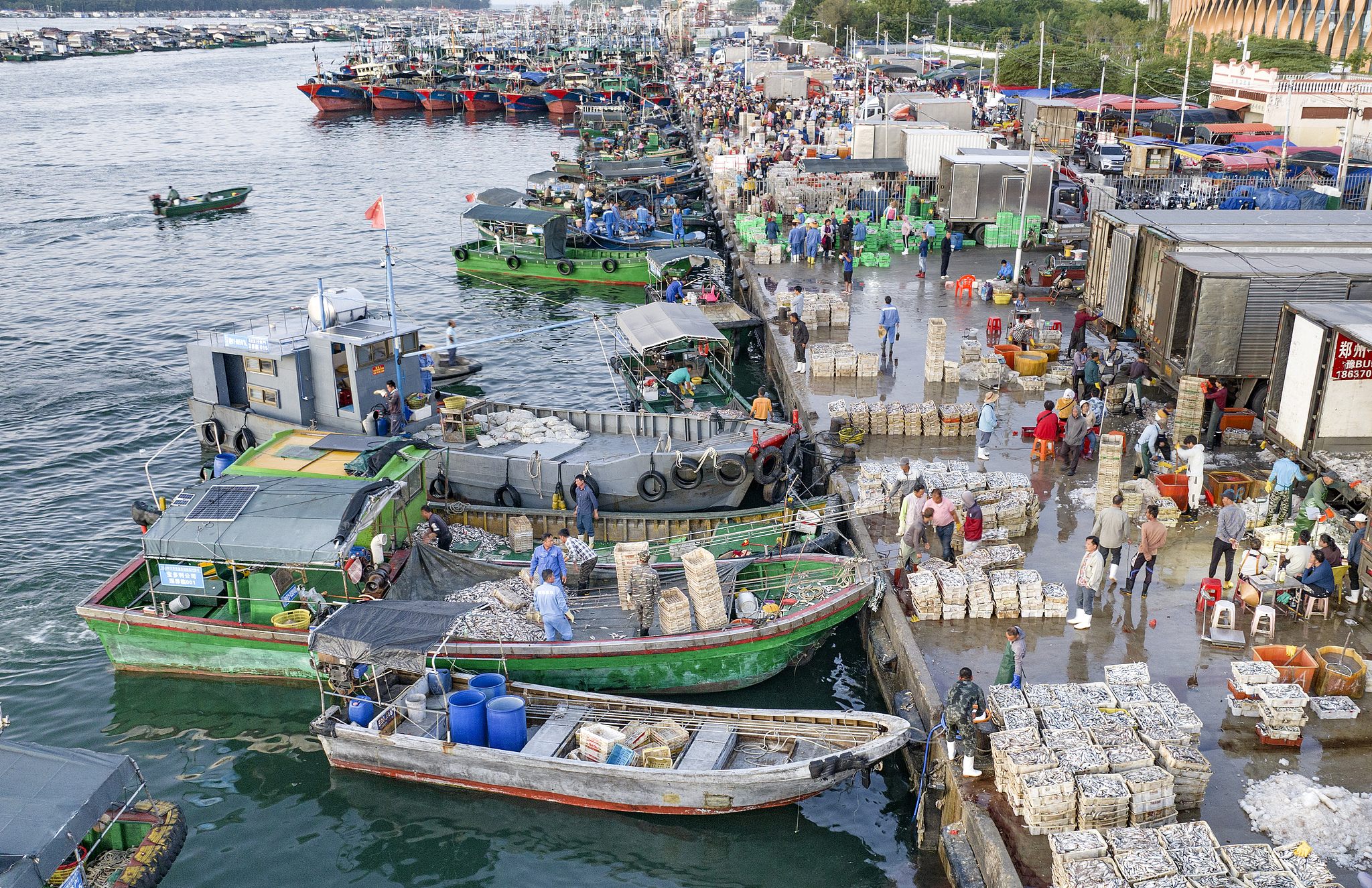 Locals and tourists shop for seafood at the morning market at the pier in Lingshui, Hainan Province. /CFP