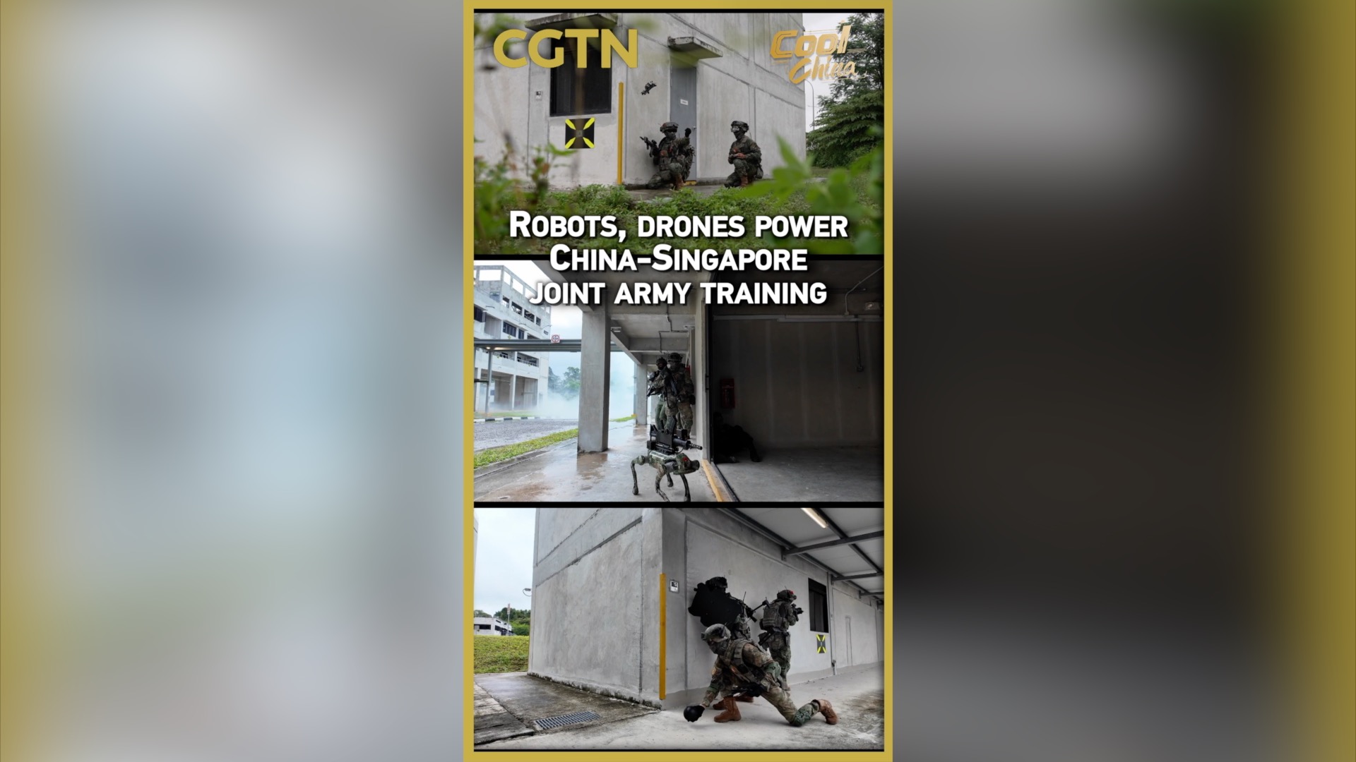 Robots, drones power China-Singapore joint army training