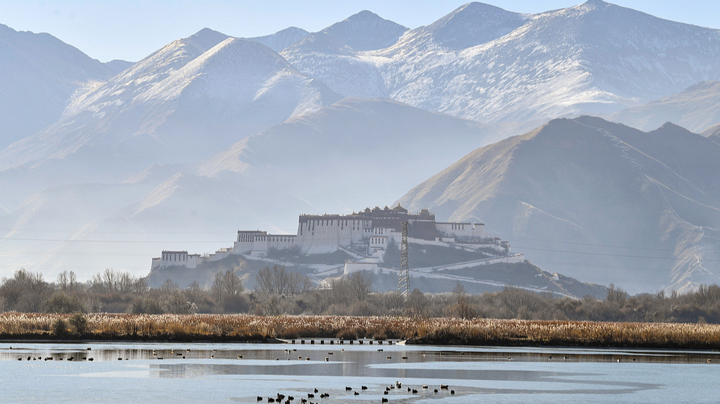 A view of the Lhalu Wetland National Nature Reserve in Lhasa, the Xizang Autonomous Region, China, December 9, 2025. /VCG