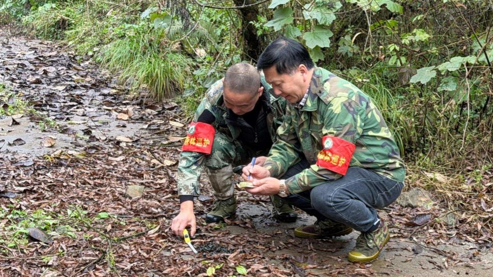 Rangers recording an animal track. /WWF