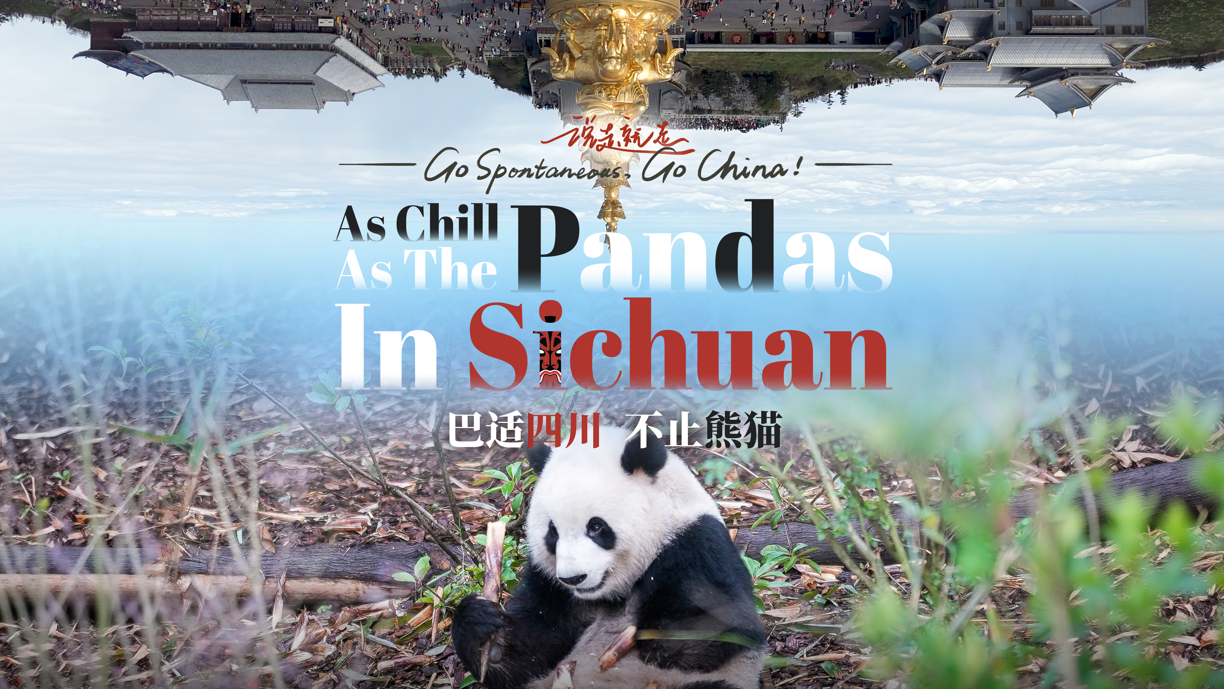As chill as the pandas in Sichuan