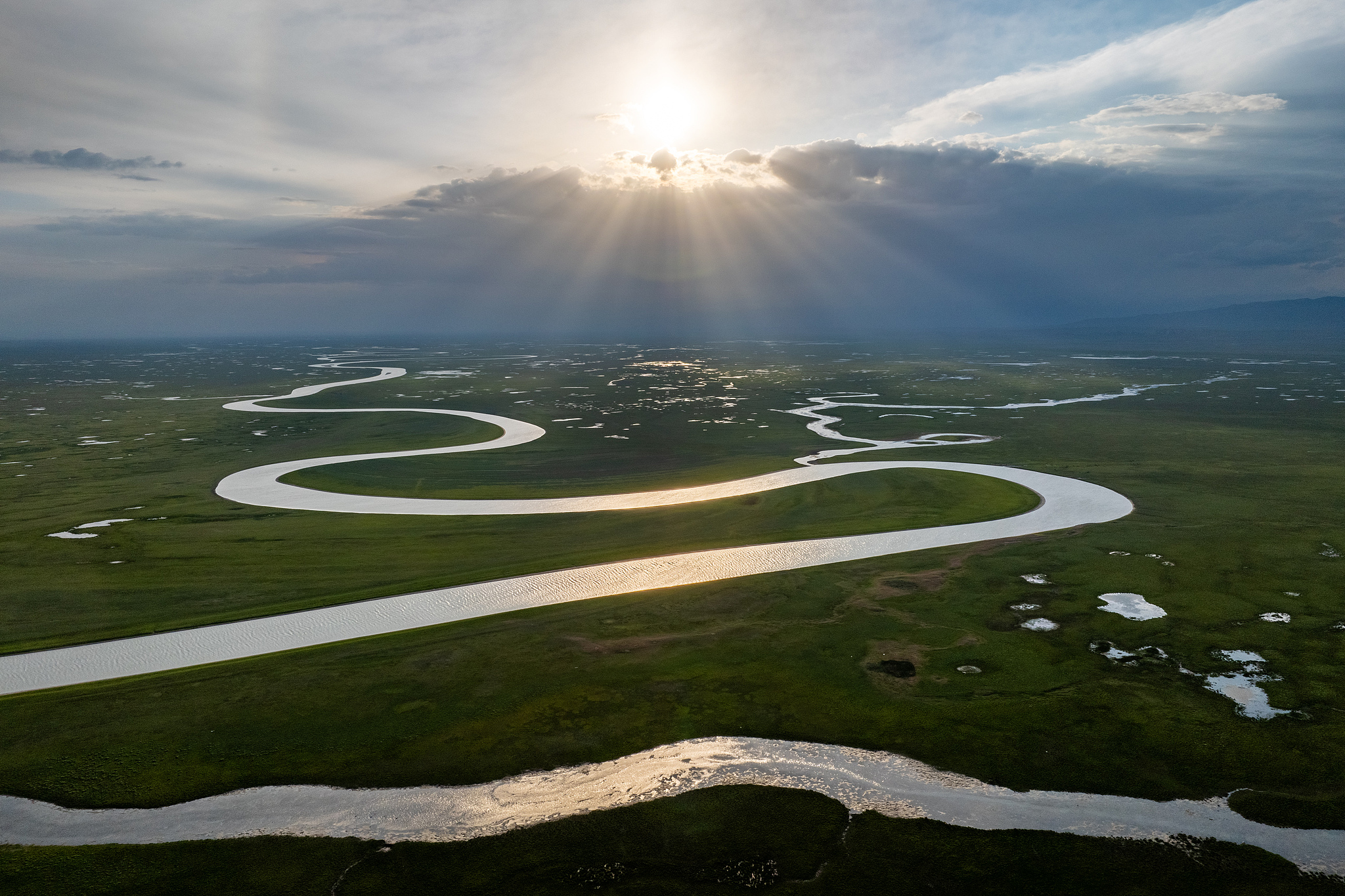 Bayanbulak Grassland, Bayingolin Mongol Autonomous Prefecture, Xinjiang Uygur autonomous region, northwest China, June 21, 2025. /VCG