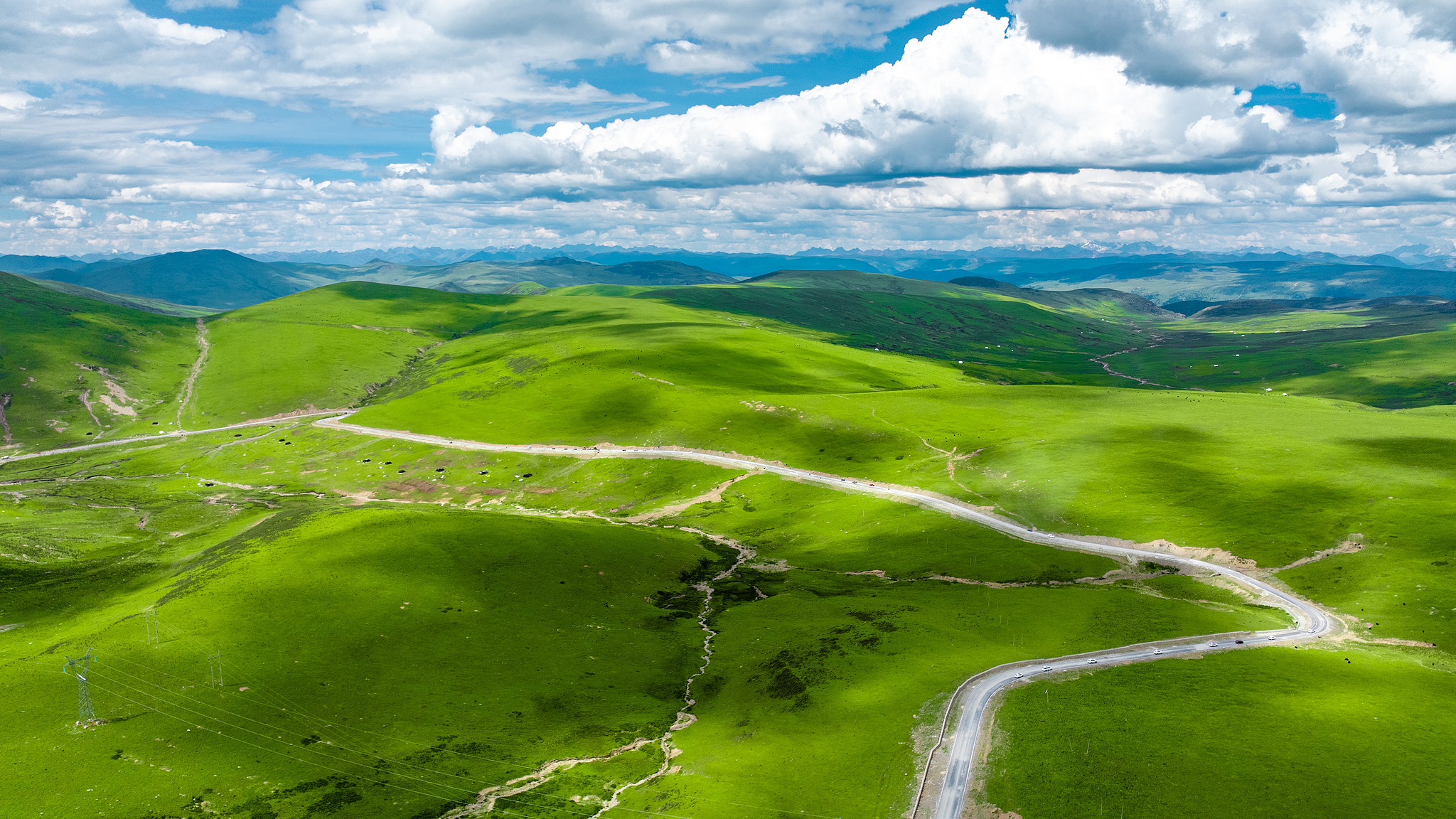 China's grassland ecology improves during 14th Five-Year Plan