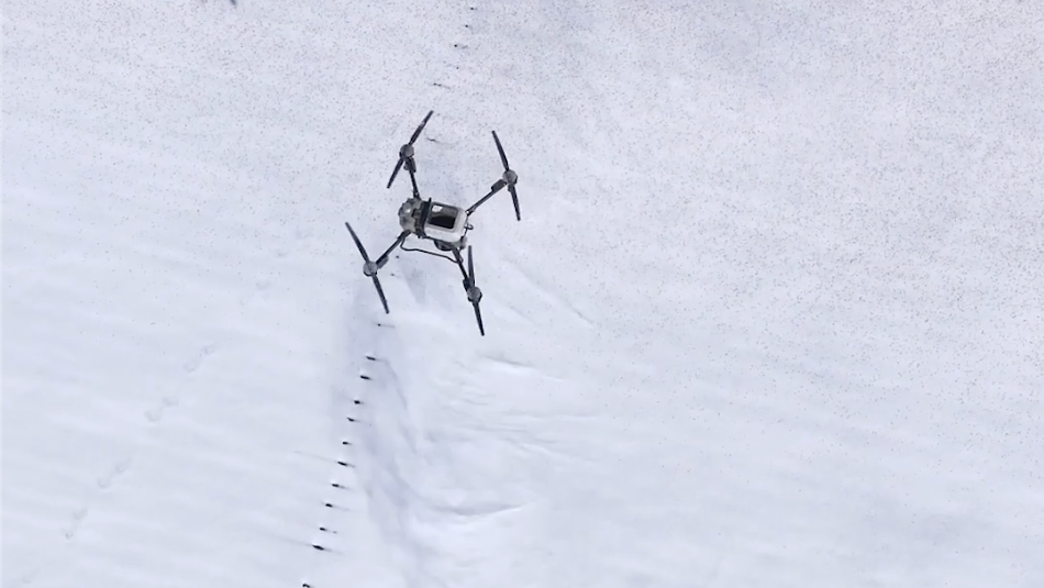 Drones enhance winter wheat fertilization in Manas, Xinjiang‌