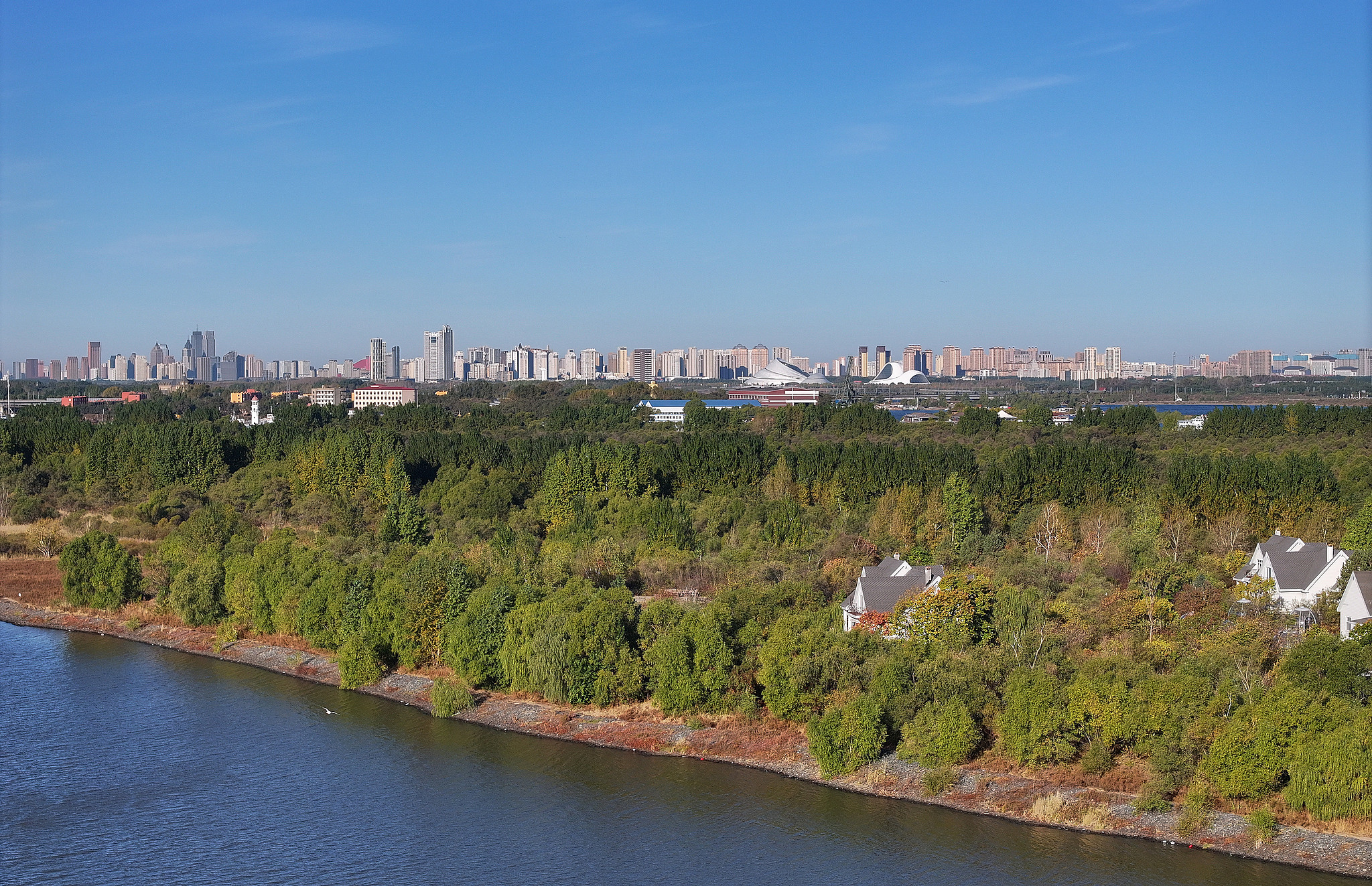 Blue skies stretch over in the Alejin Island National Wetland Park in Harbin City, Heilongjiang Province, northeast China, October 8, 2025. /VCG