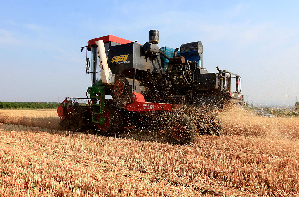 A harvester reaps wheat in the fields in Difang Town, Linyi City, east China's Shandong Province, May 20, 2025. /VCG