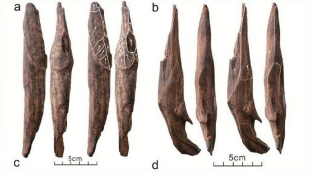 Wooden tools unearthed at the Gantangqing site, Yunnan Province, southwest China. /CMG