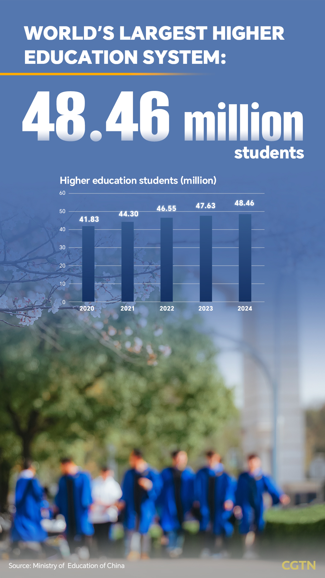 Education at scale: From near-universal basic schooling to the world's largest university system