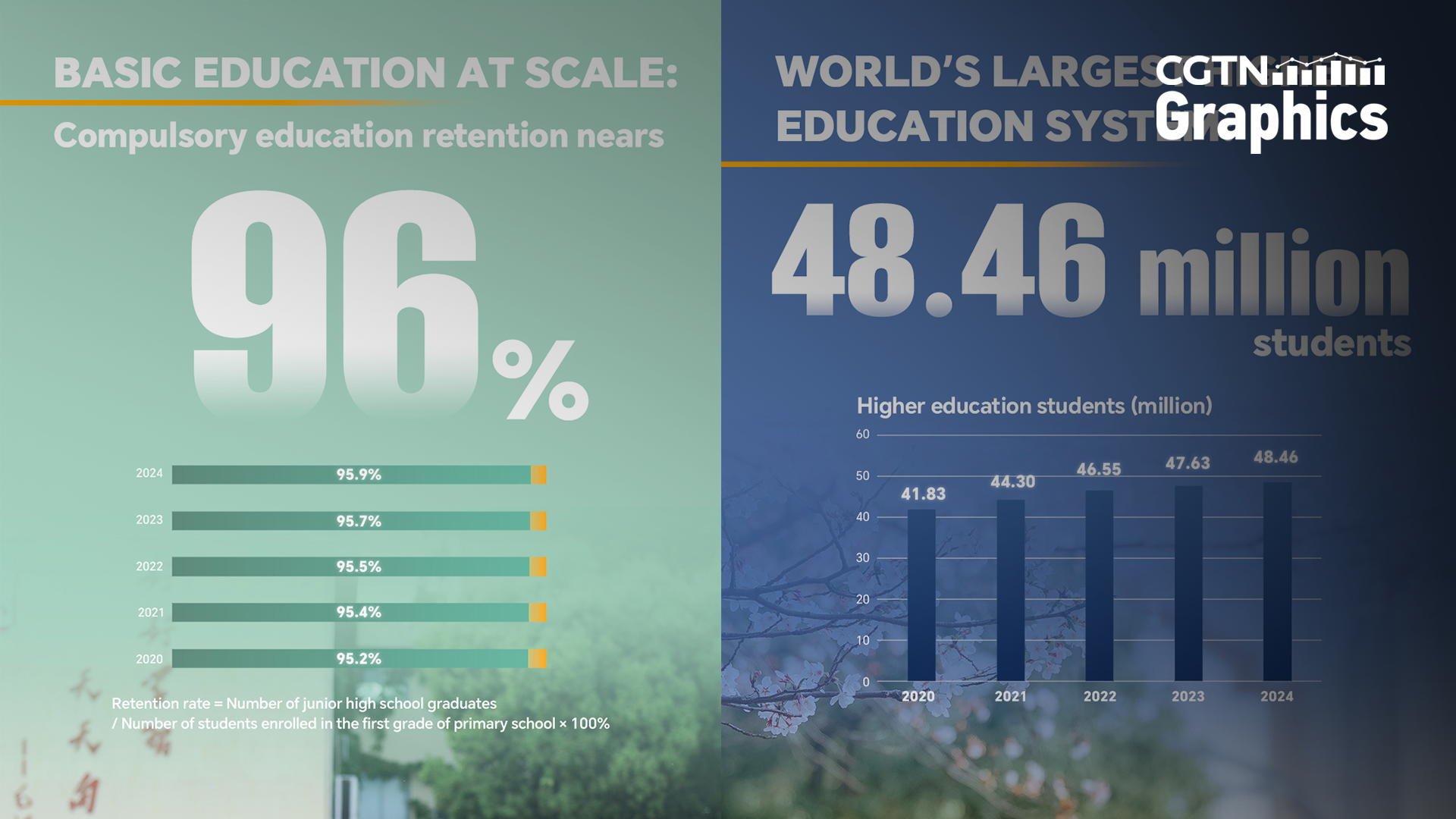 Education at scale: From basic schooling to higher education